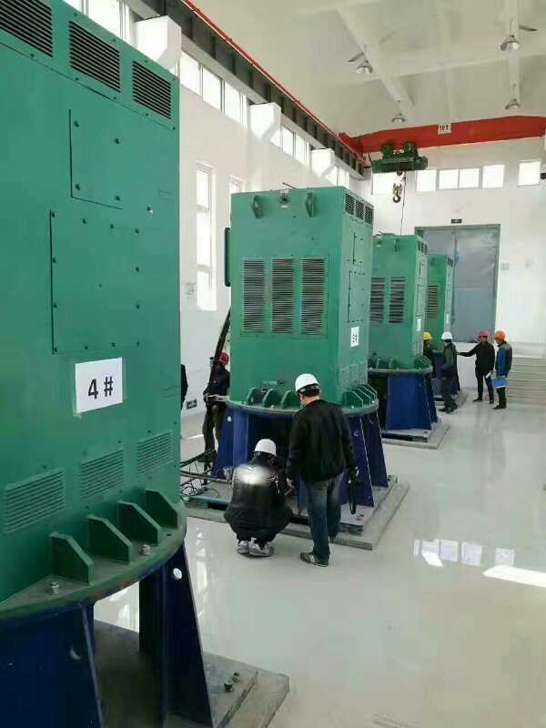 张湾某污水处理厂使用我厂的立式高压电机安装现场